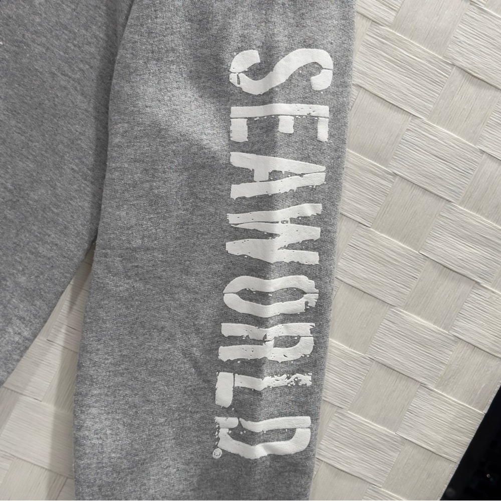 SeaWorld Gray Hoodie with Blue Graphic - Picture 4 of 9